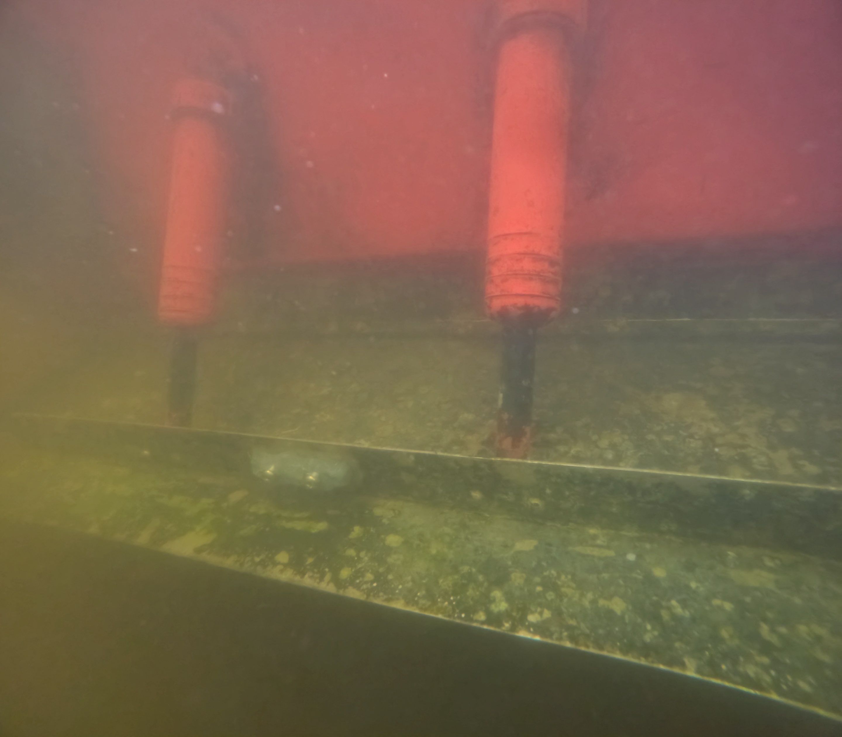 Project in North Fort Myers, FL by Florida Hull Cleaning 
