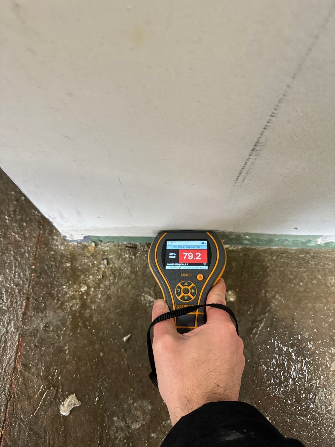 Project in Royal Oak by EzDry Water Mitigation & Property Restoration