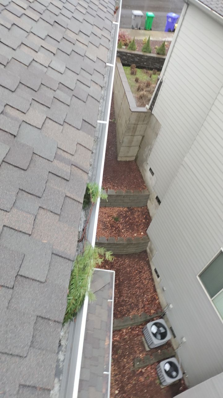 Gutter Cleaning by Paul Schopp