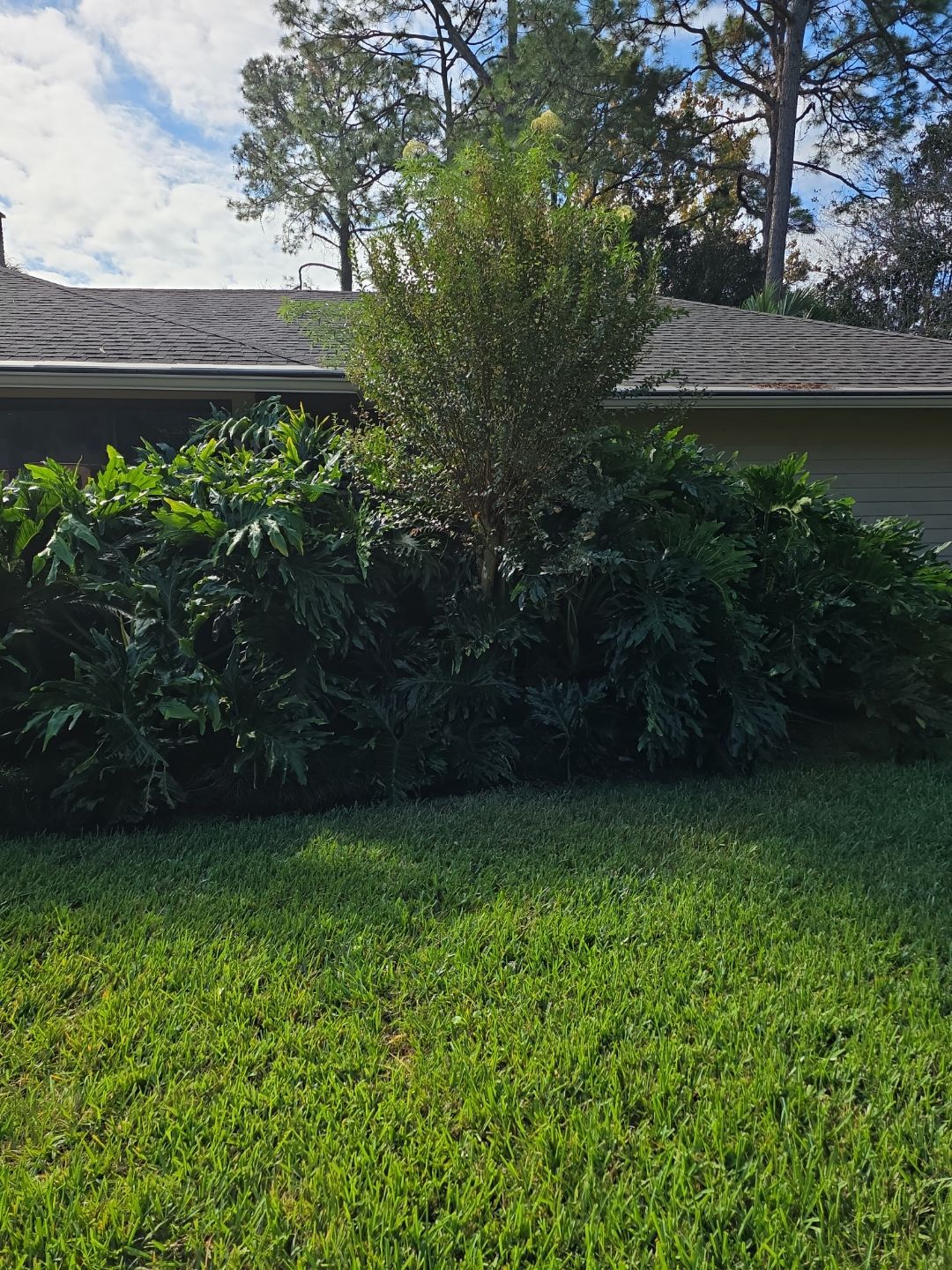 Deerwood Resident | Freshen Up Project by ProGreen Services