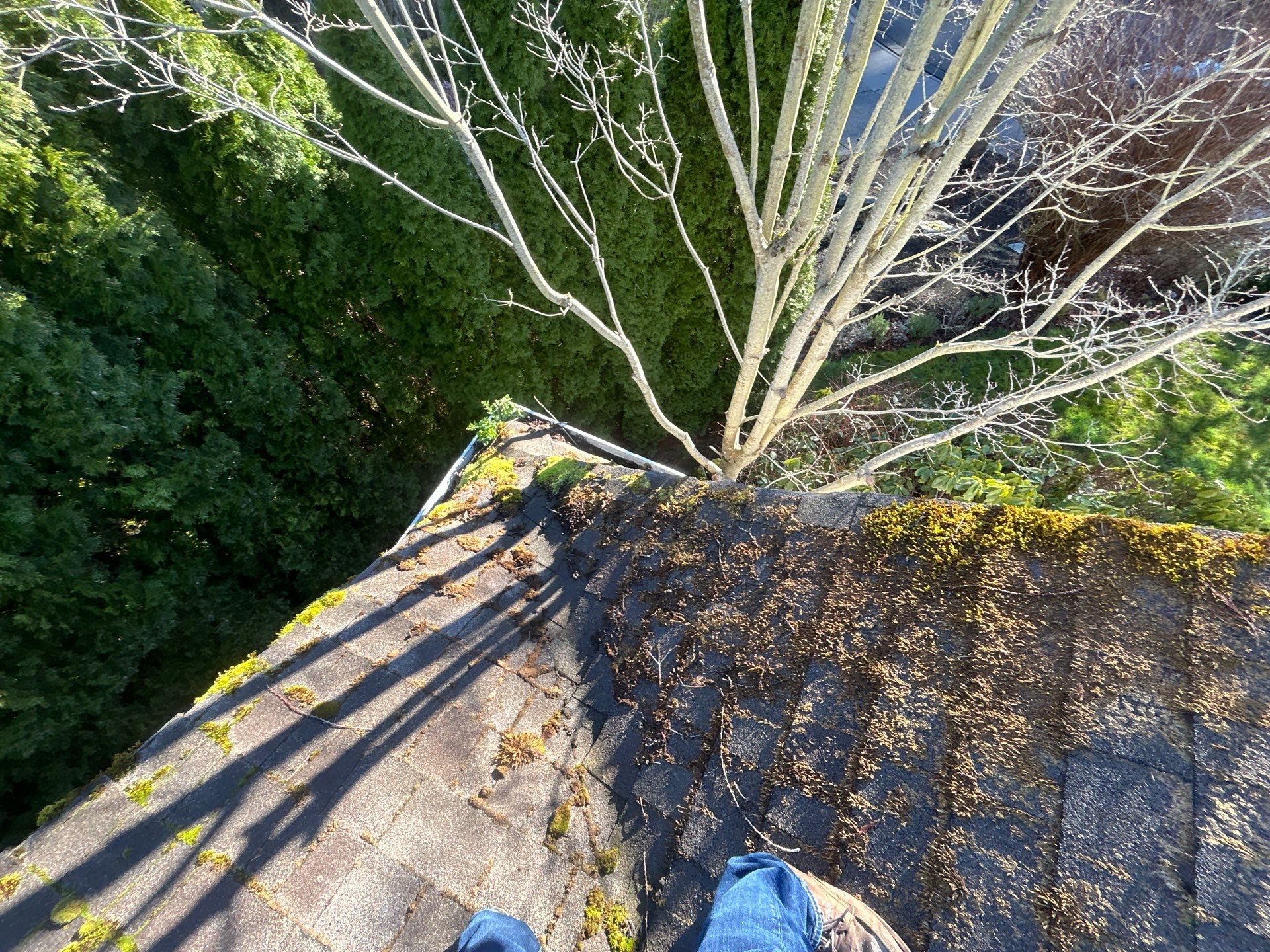 Project in Mount Vernon by Connolly Construction Company