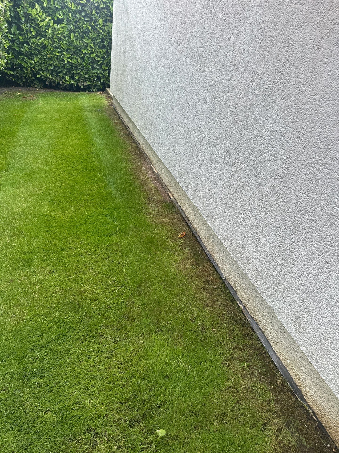 Render Clean using Pureseal Biocide - Solar Panel Clean by Ges Exterior Cleaning ltd