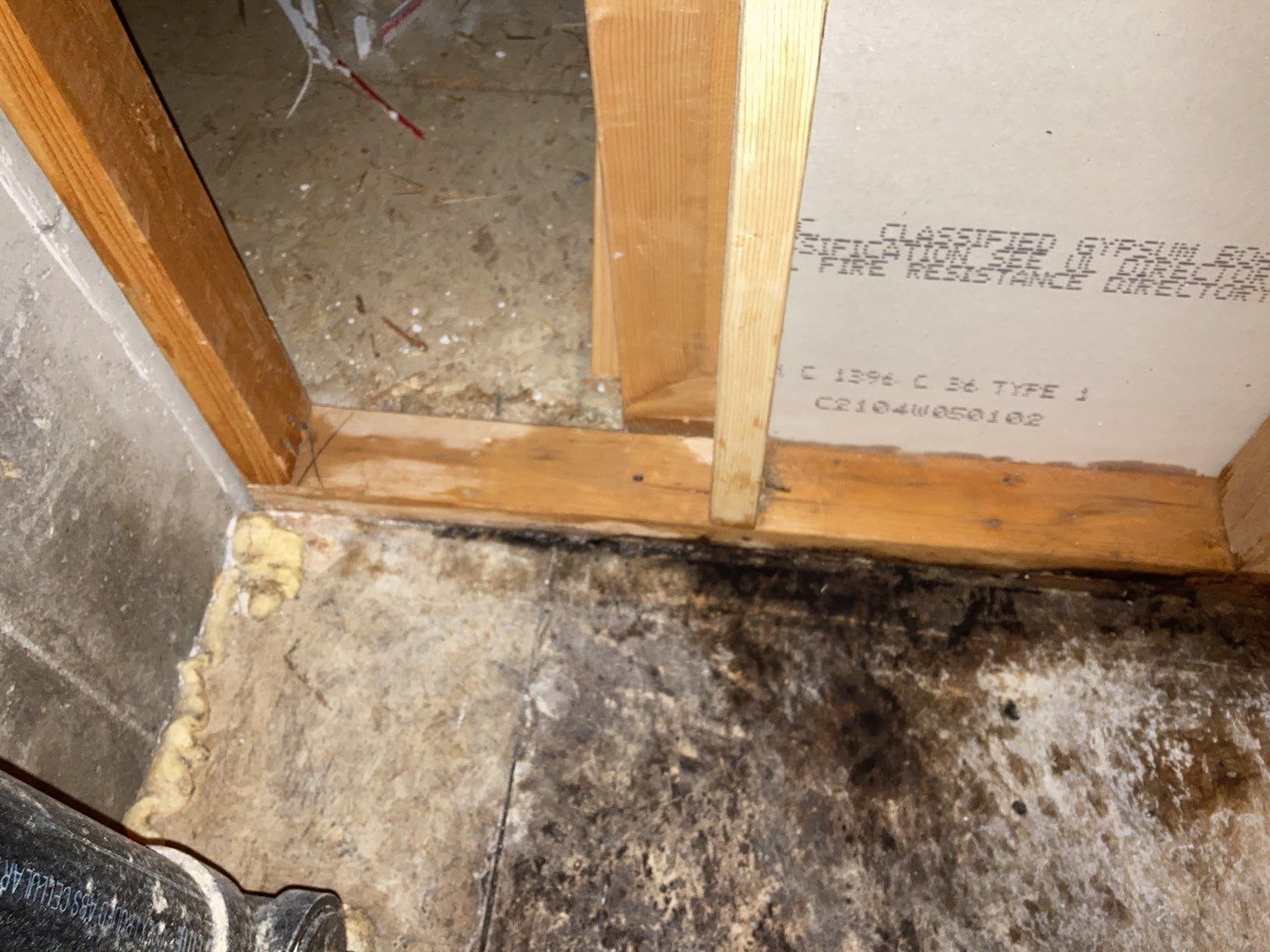 Mold Remediation in Kitchen by Accountable Home Services