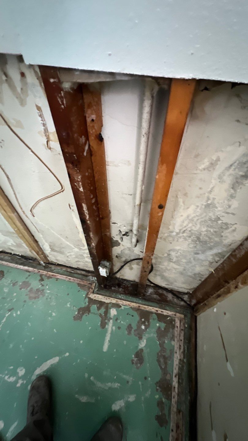 Mold Remediation by Accountable Home Services