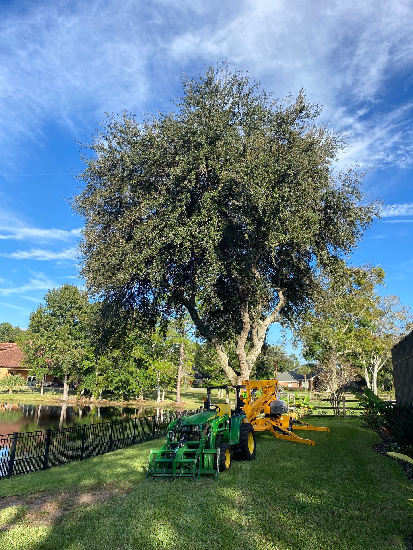 Deerwood | Tree Trimming & Sod Install | Residential by ProGreen Services