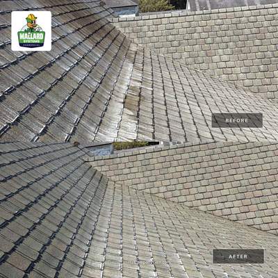Shingle Roof Cleaning Winter Park