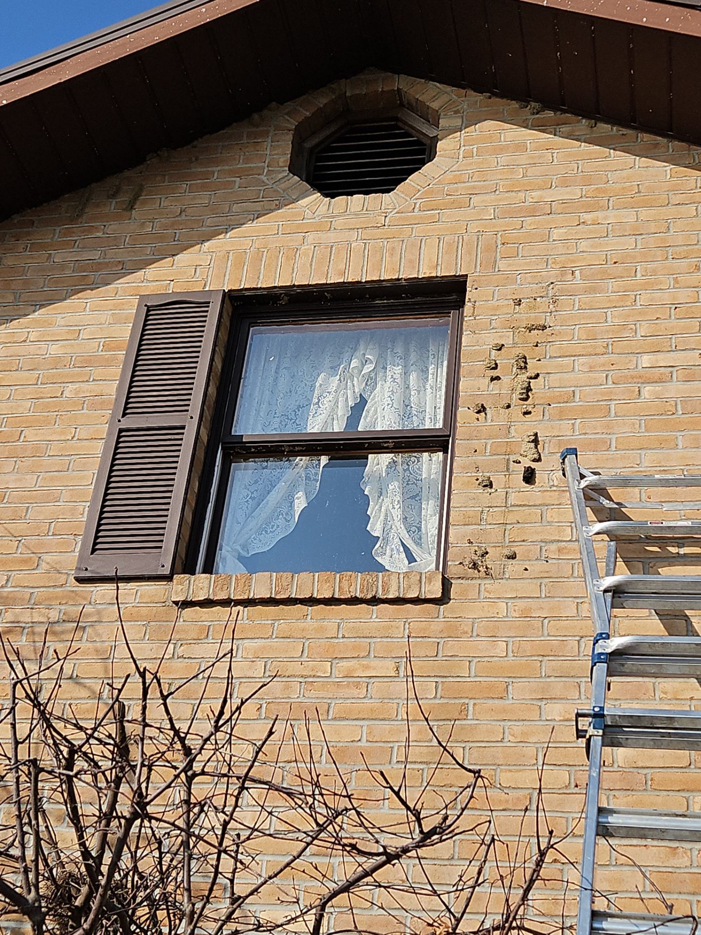 Residential Roofing Installation using Great American Shake - Mustang Brown by Nitro Roofing and Construction