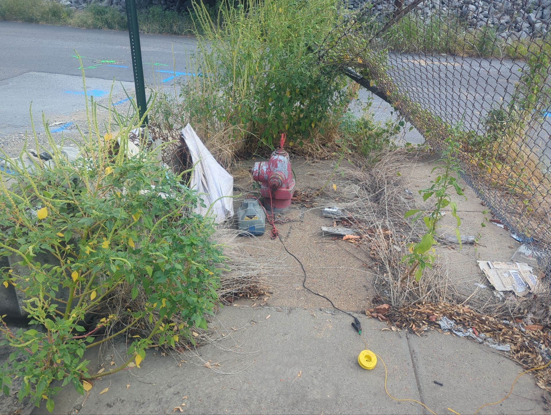 Utility Locate and Utility Mapping for Survey by Alsip Locating Service, LLC