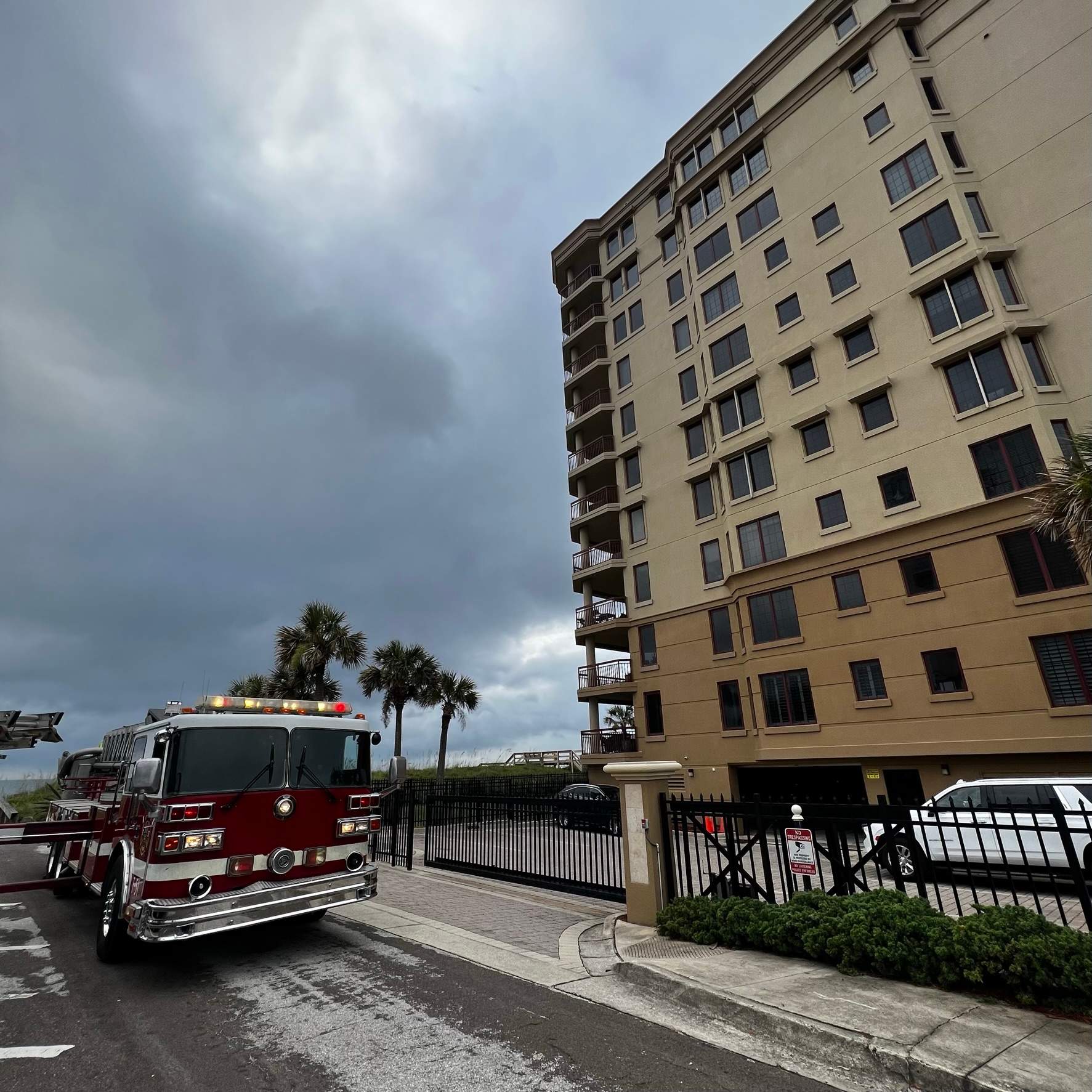 Palm Trimming | Landmark Condominiums by ProGreen Services