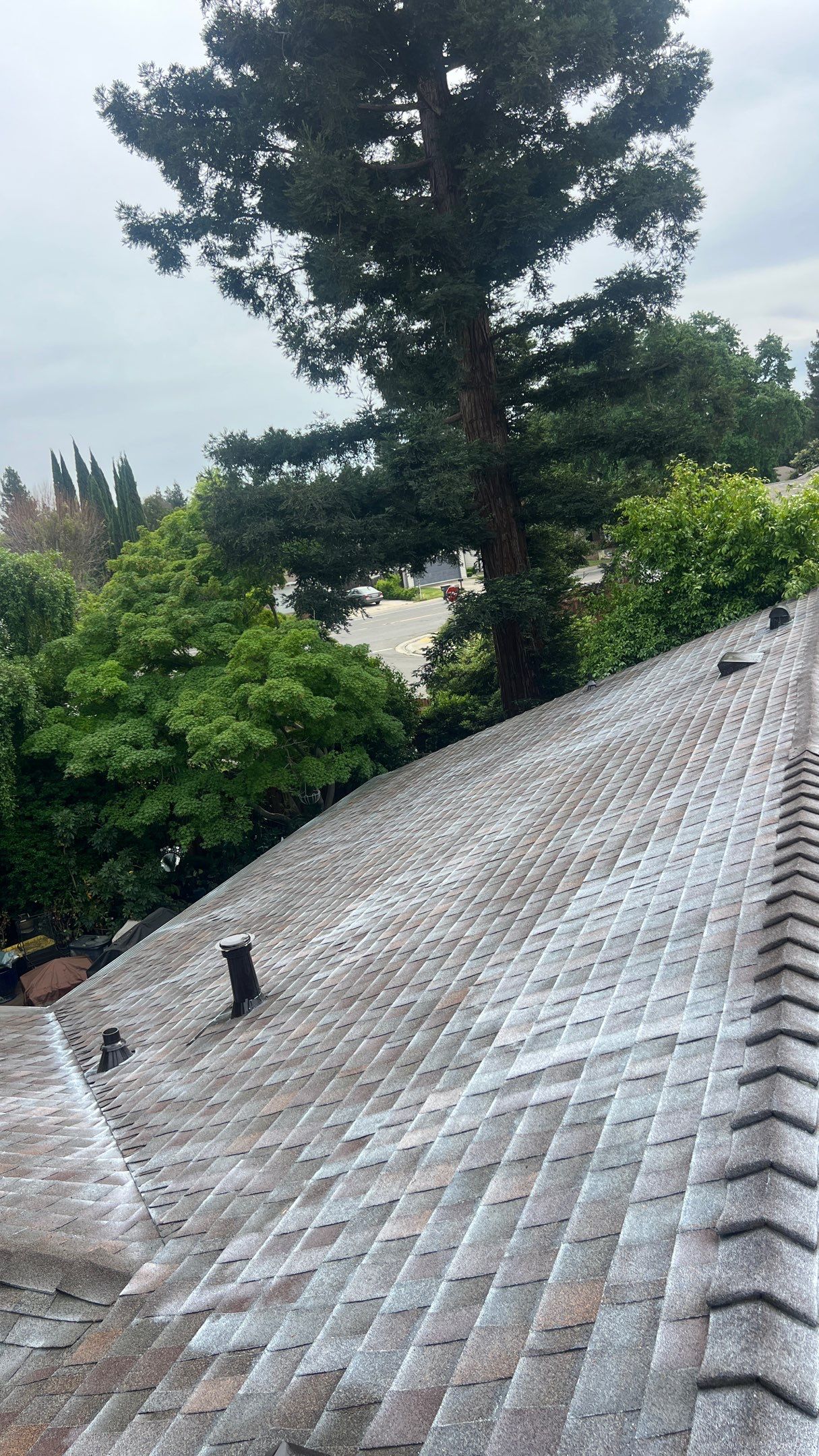 Roof Rejuvenation using Roof Maxx Treatment by Roof Maxx of Folsom