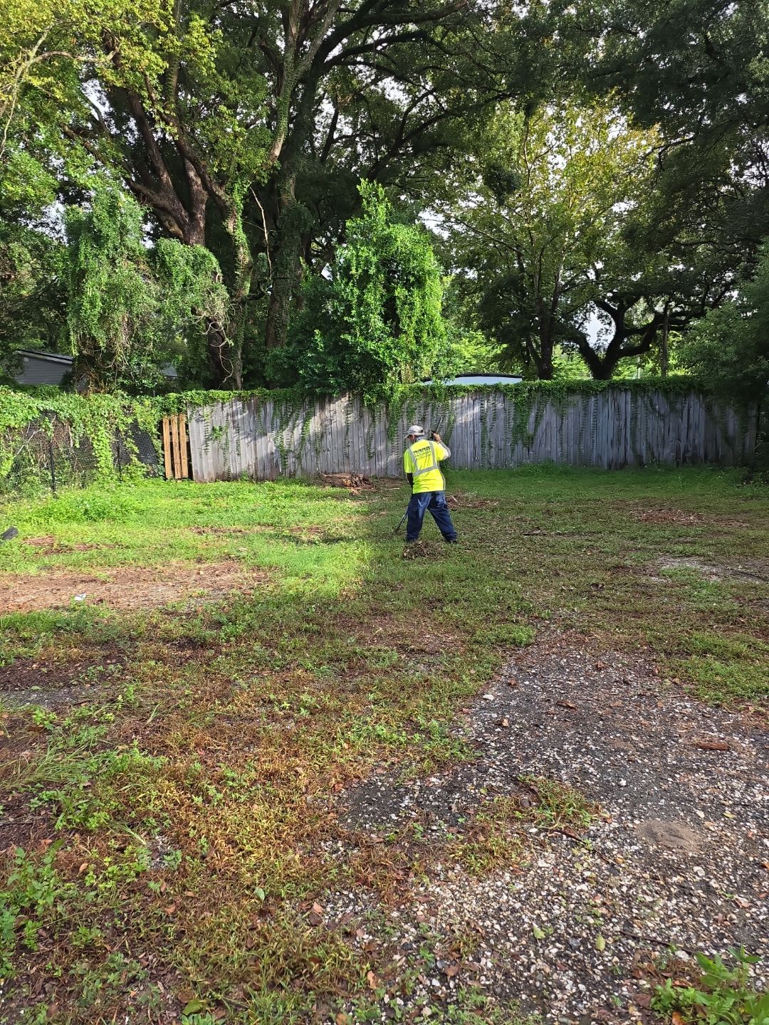 Crash Champions | Tree Removal & Cleanup by ProGreen Services