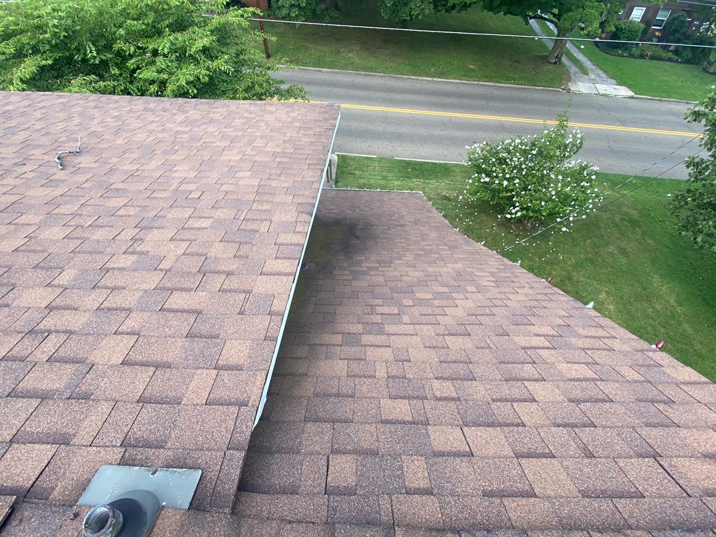 Joe Scott by Silver Leaf Contracting 