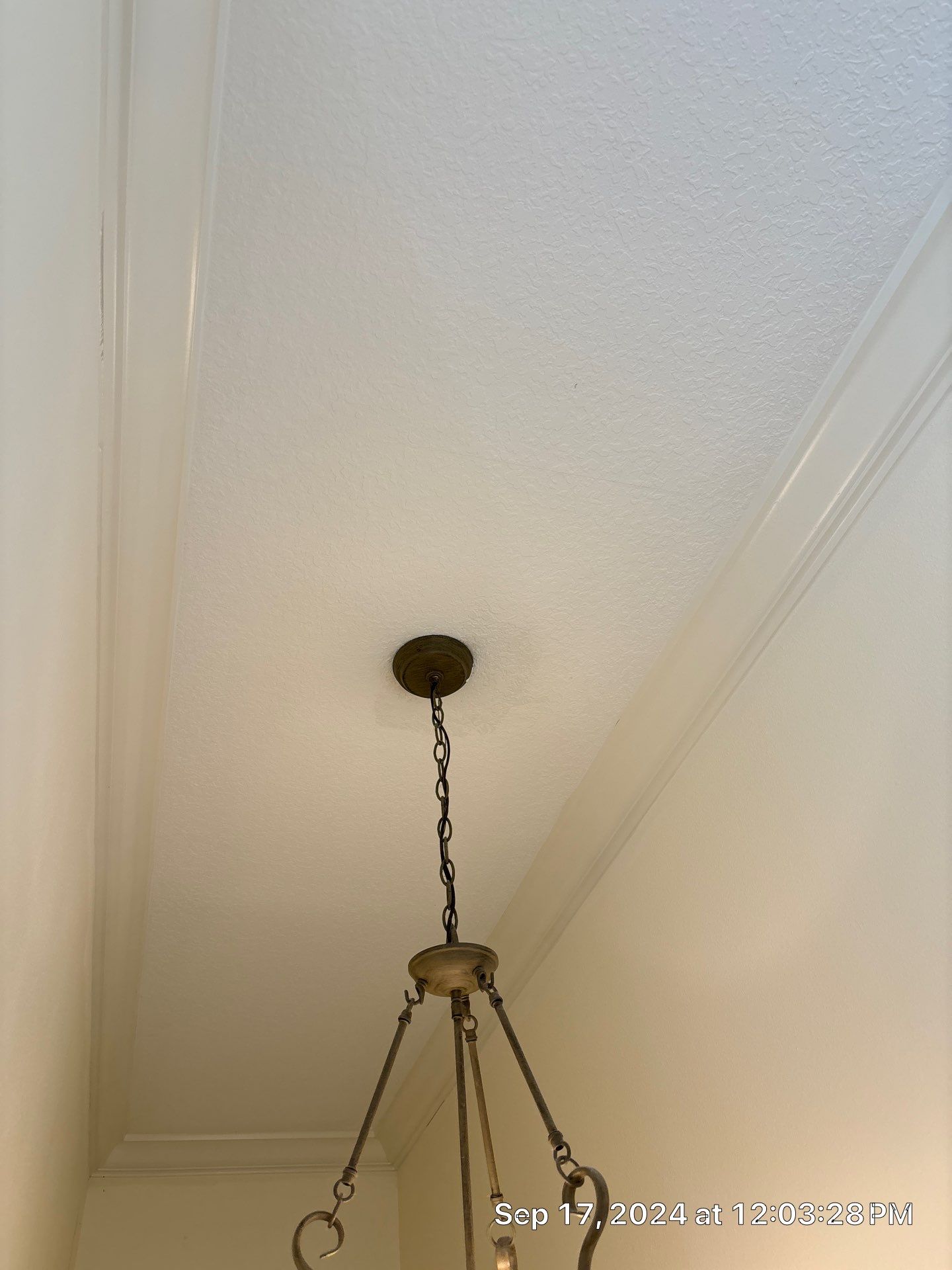 Holmes Beach AC Mold Deep Cleaning by Ampm Restoration Services 