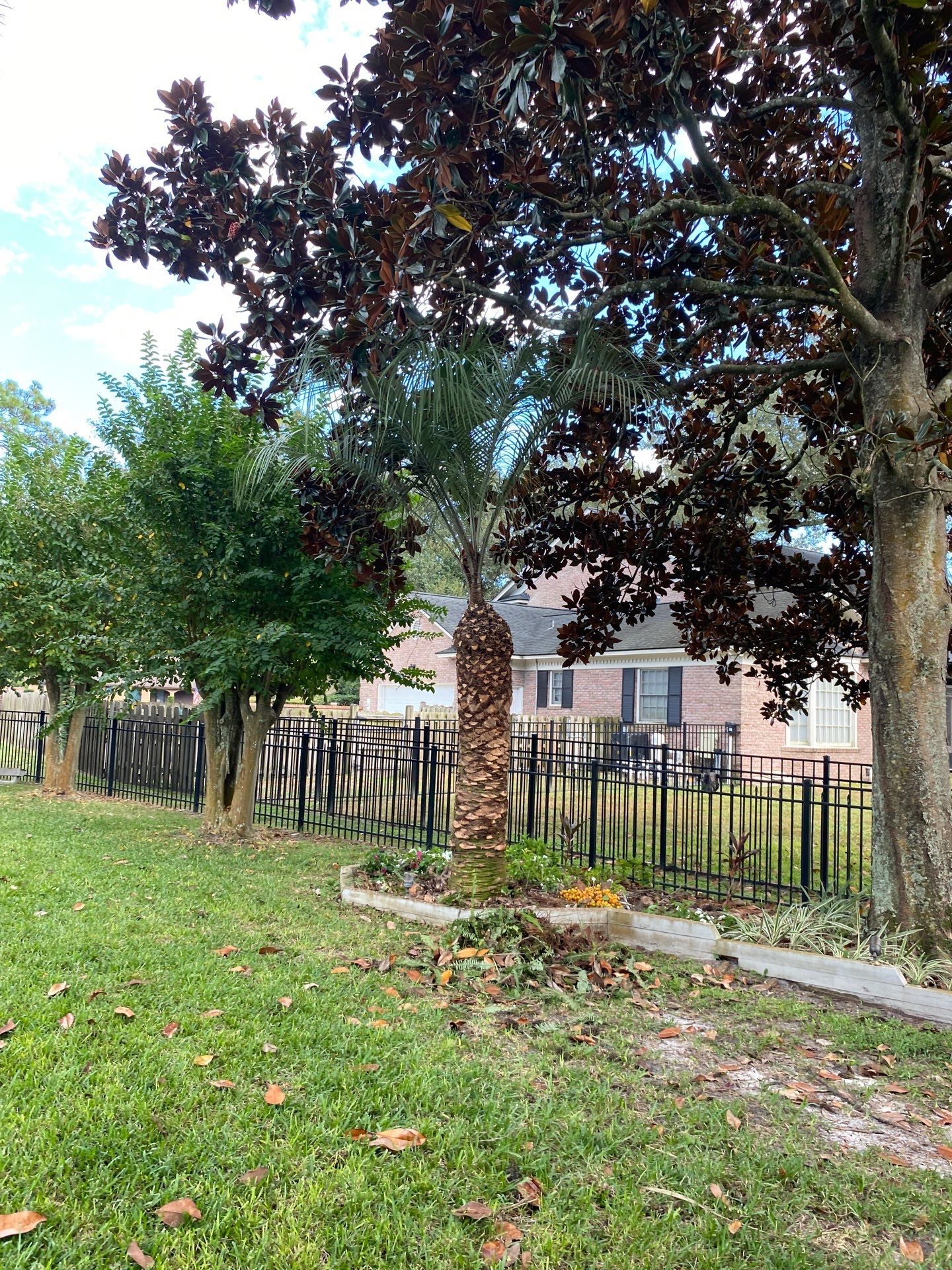 Deerwood Resident | Palm Tree Trimming by ProGreen Services