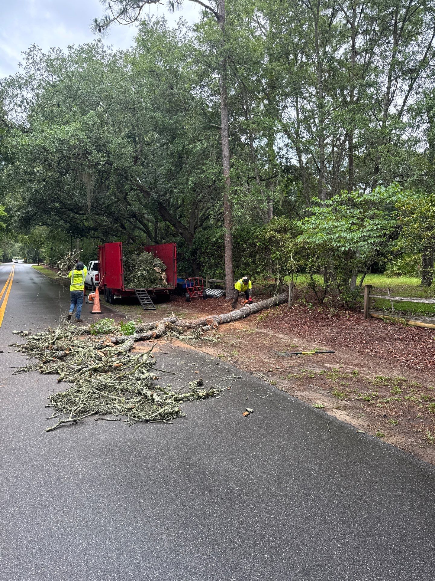 Deerwood Resident | Tree Removal & Trimming by ProGreen Services