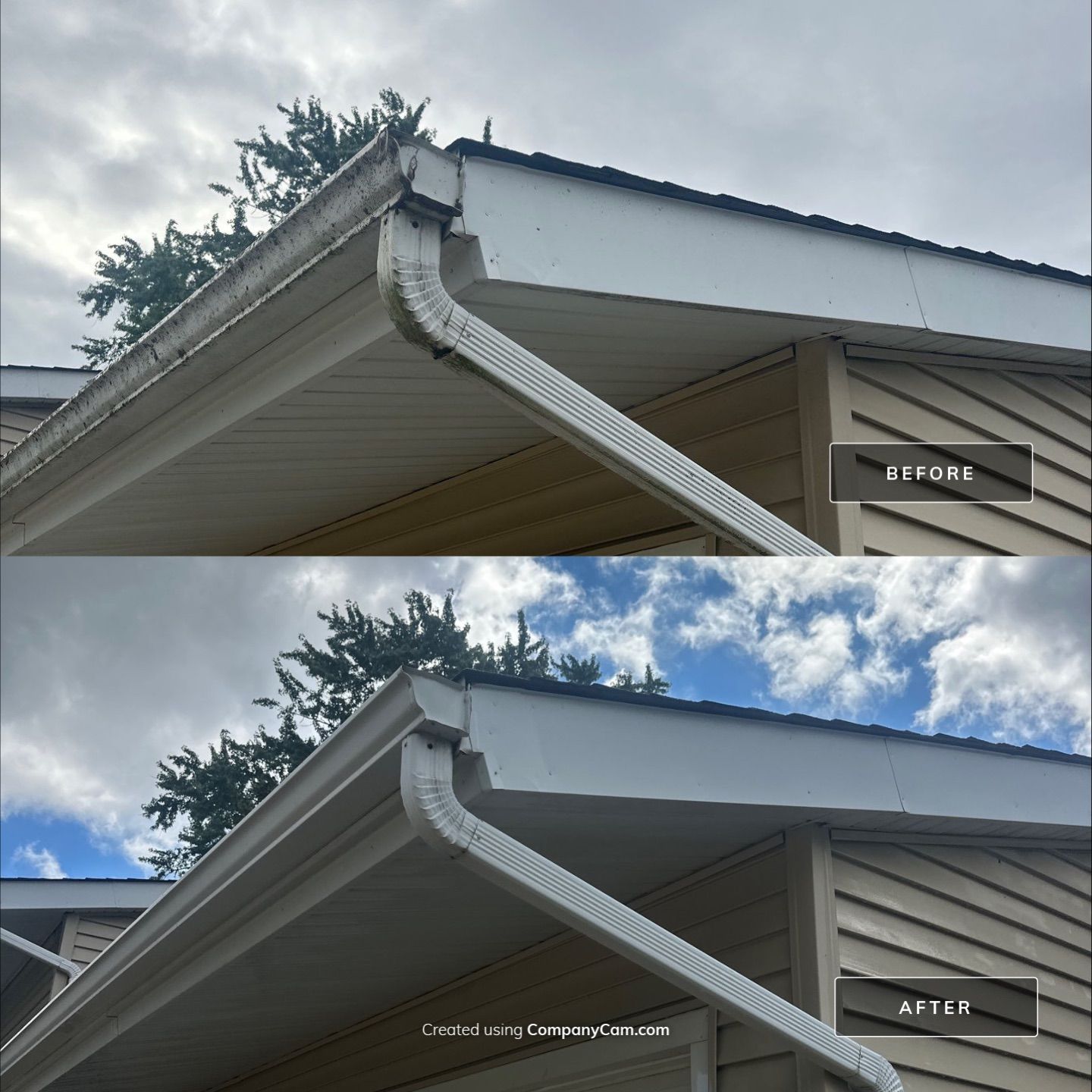 Project in Crystal Lake by Simmons Power & Soft Washing