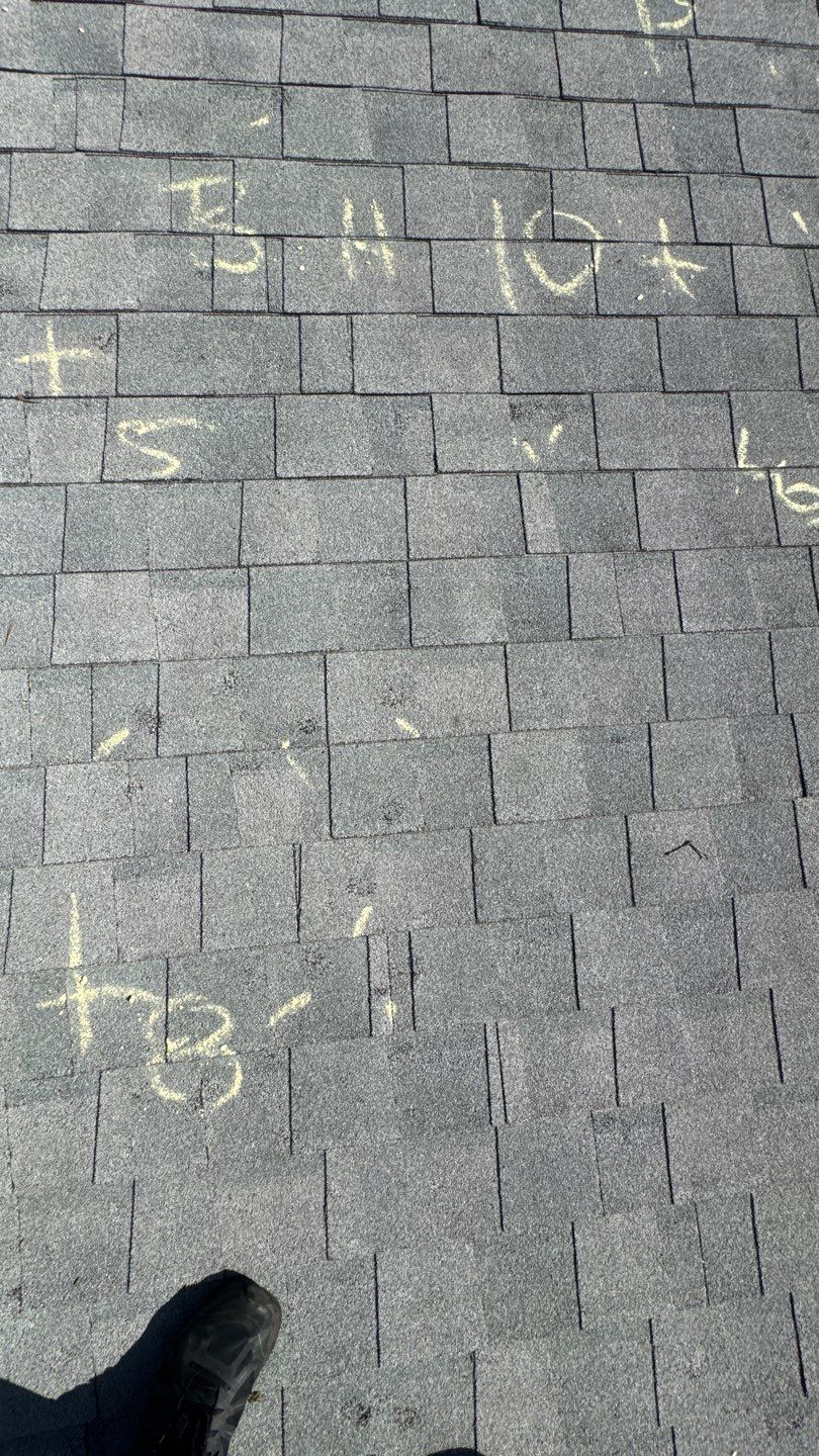 SUSAN G by Boss Hogg Roofing