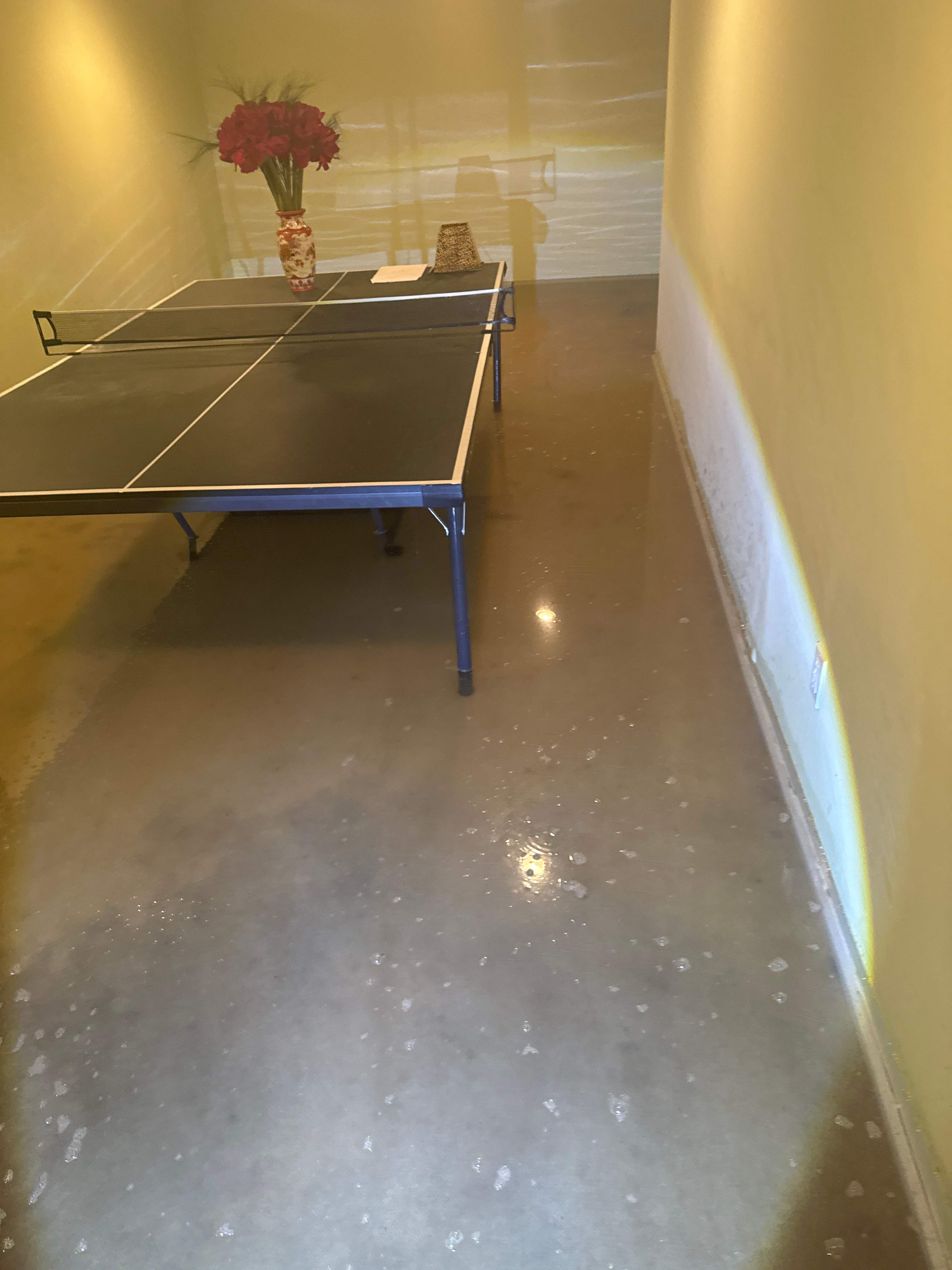 Water Damage / Mold Damage by Newhouse Restoration