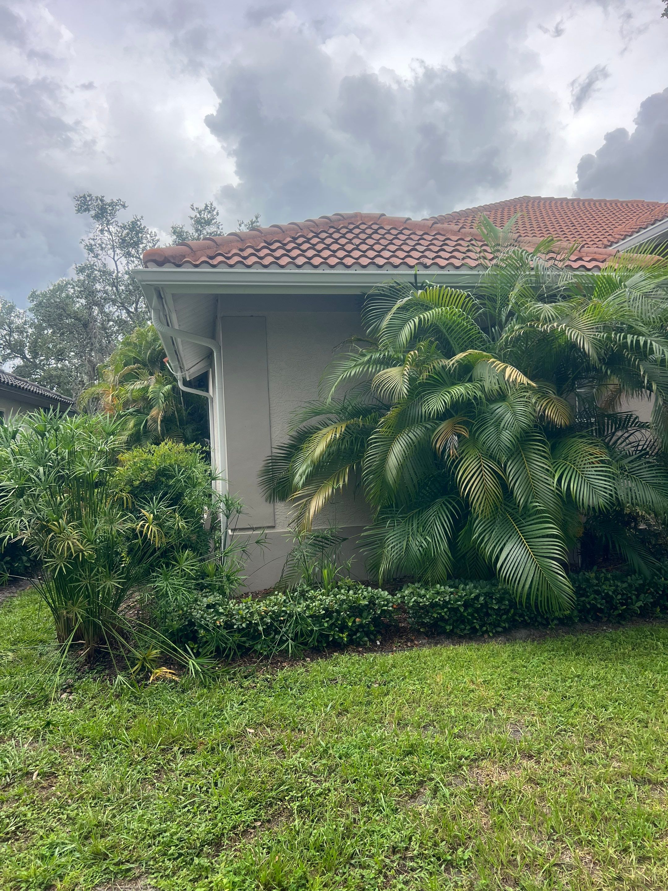 6-inch White Seamless Gutters Installation by Gutter Professors