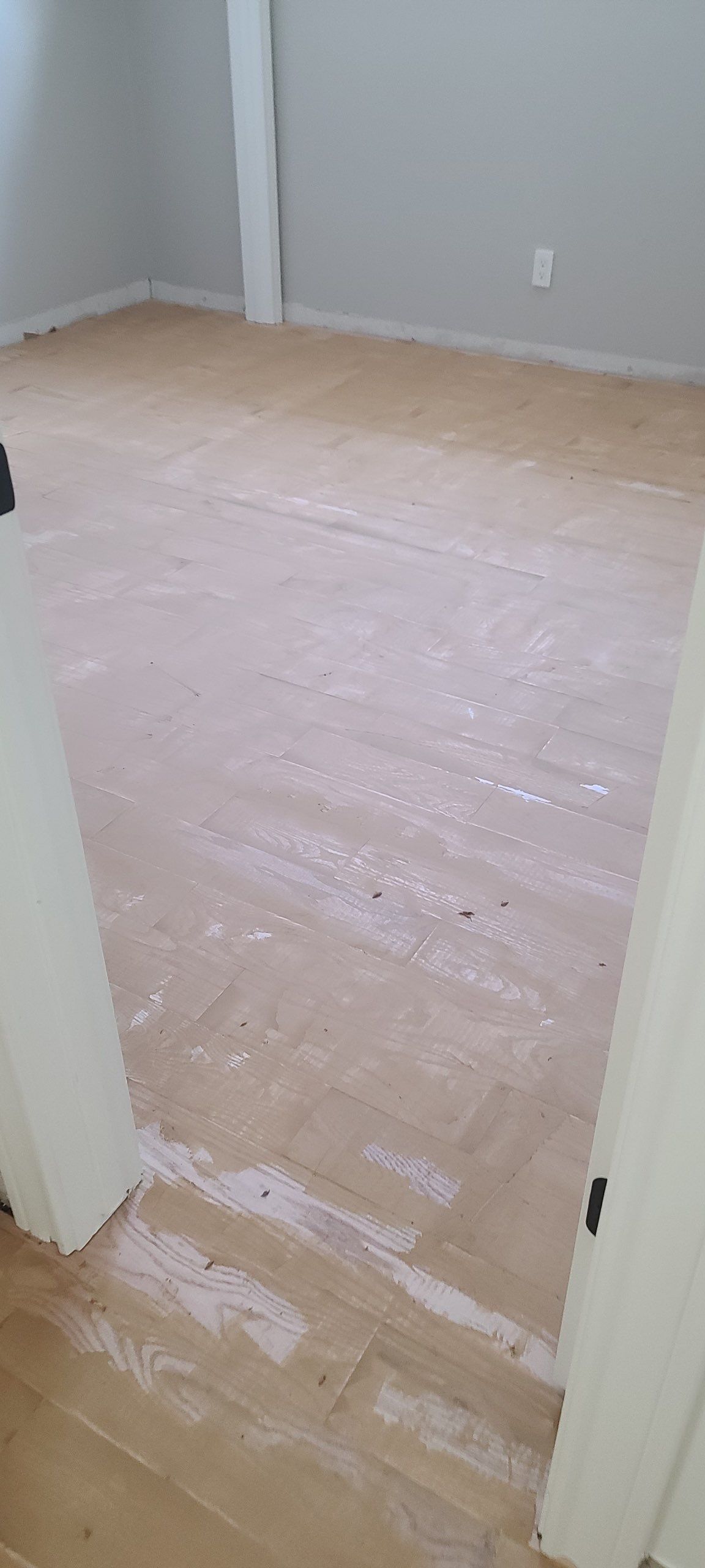 The Napolitano Family by SophAlx LLC