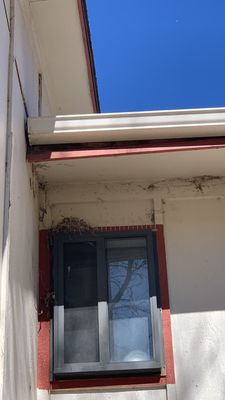 Project in Arvada
