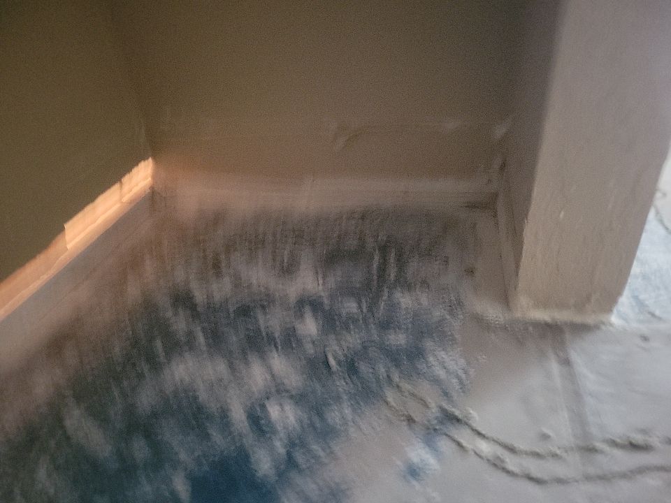 Mold Damage by Accountable Home Services