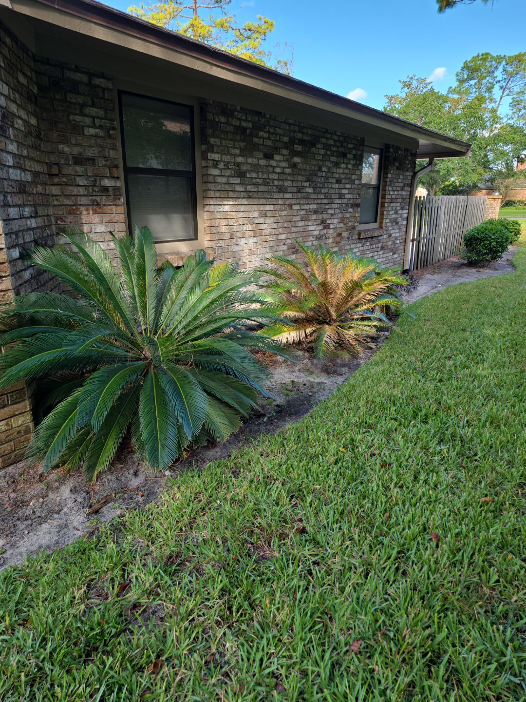 Deerwood Resident | Freshen Up Project by ProGreen Services