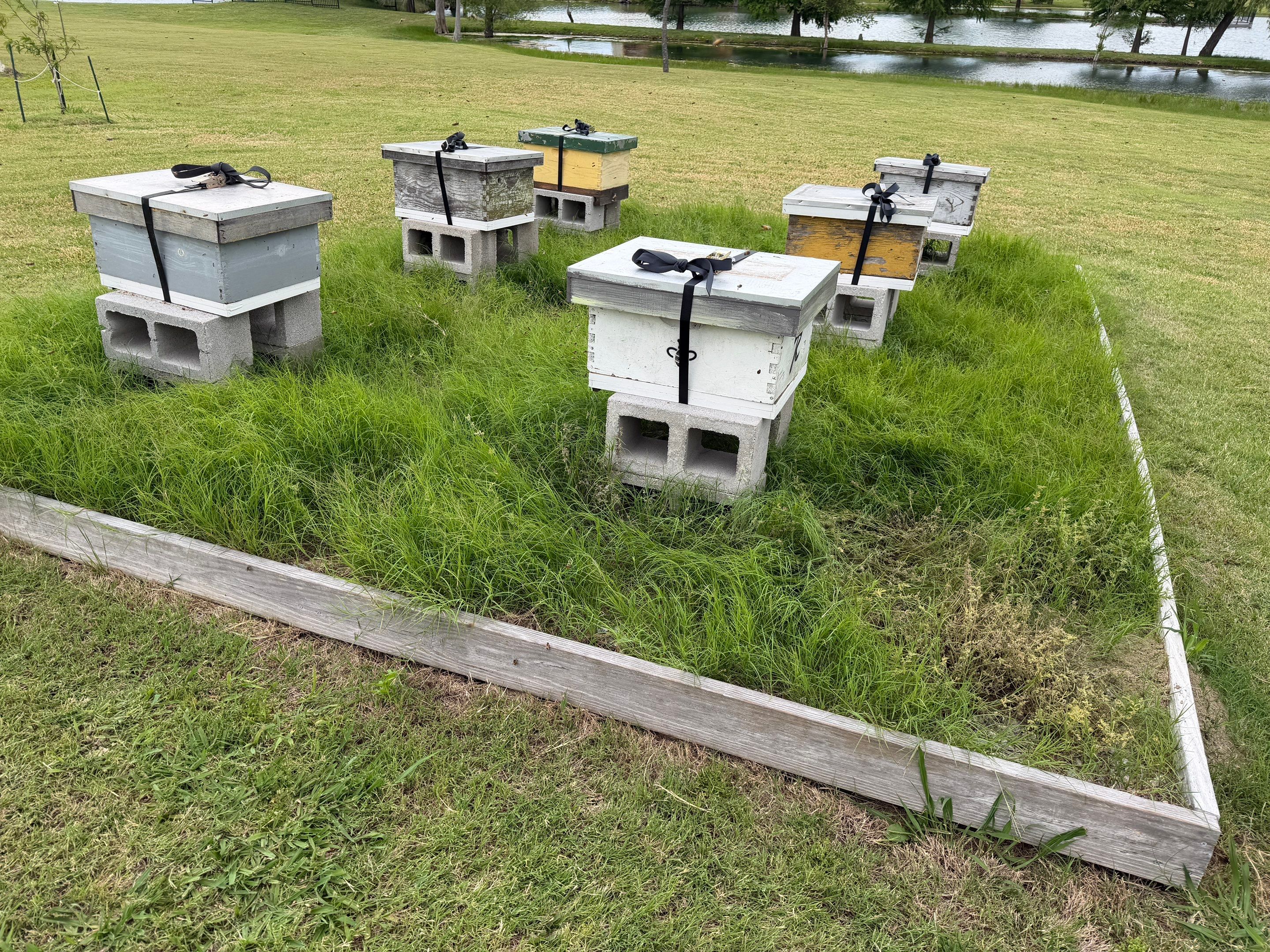 Double Family Property in Heath for Ag. Exemption by Rockwall Honey Bee Company