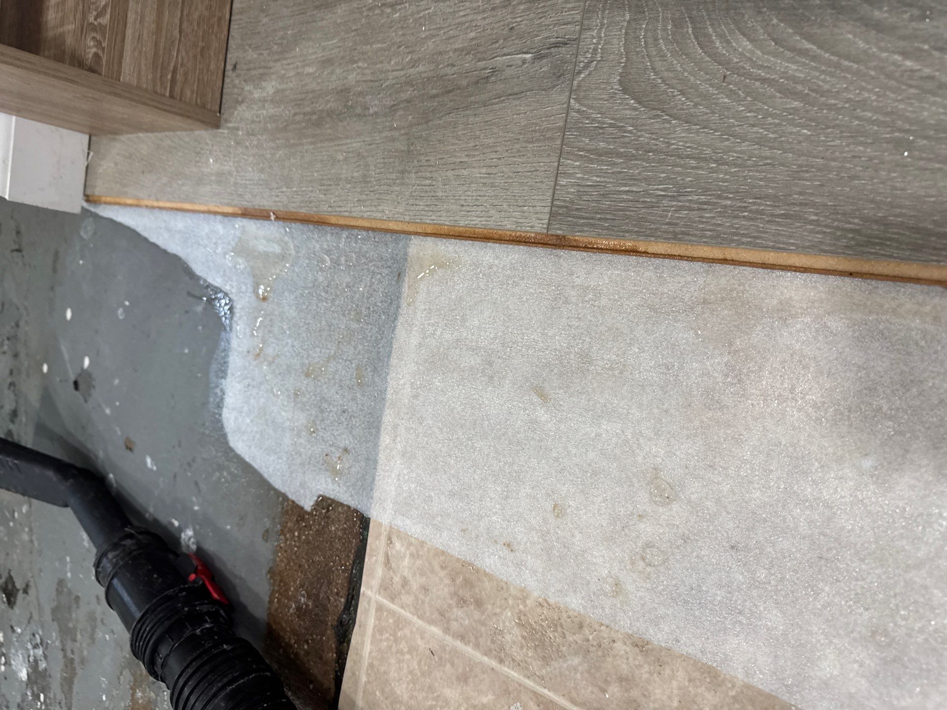 Basement Moisture Remediation in Mineola by EMS Restoration Corp