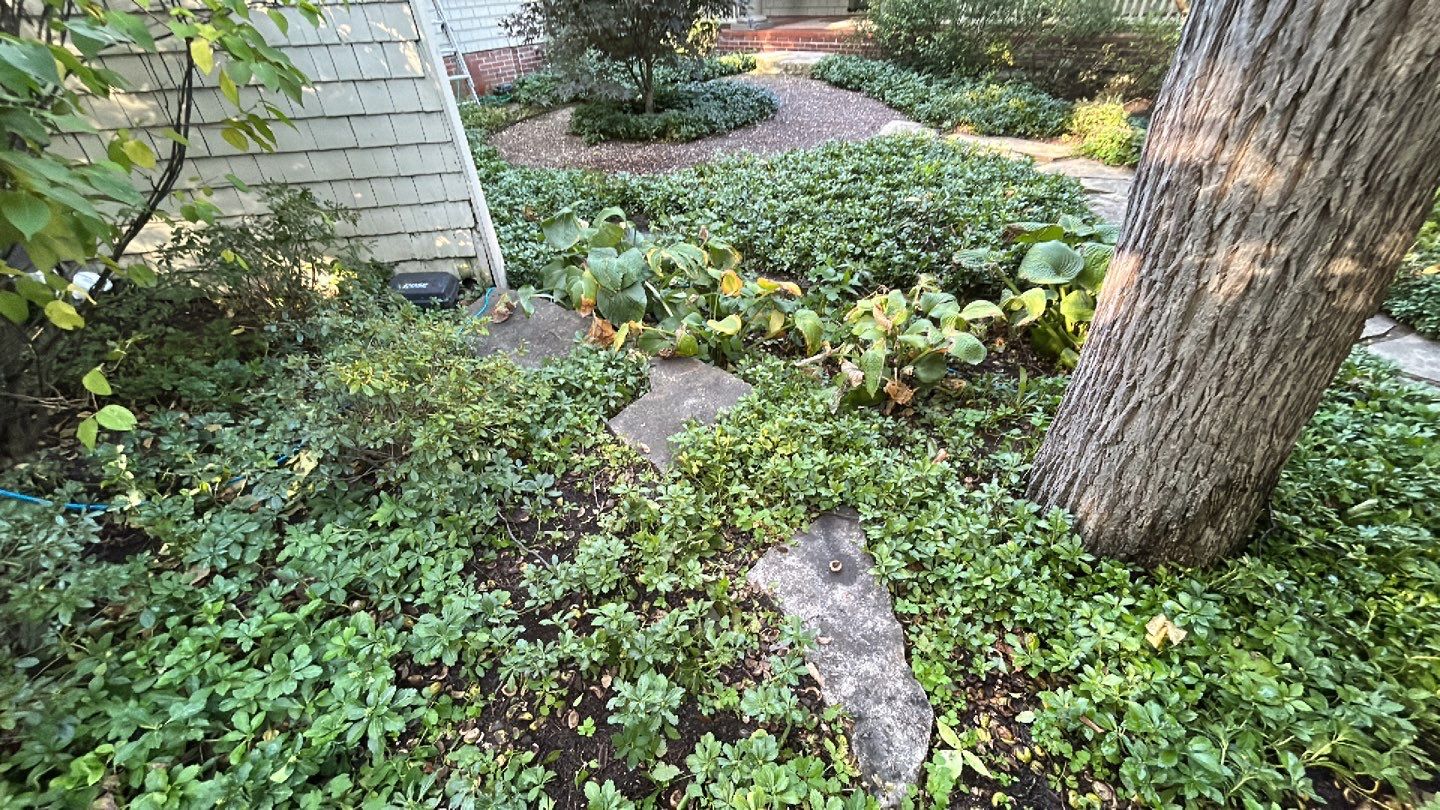natural stone using Algaecide, soft wash soap by Northern Power Washing LLC.