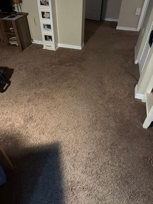 Water Damage Restoration and Structural Drying in Coral Springs
