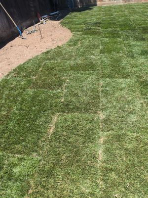 Project in Tracy