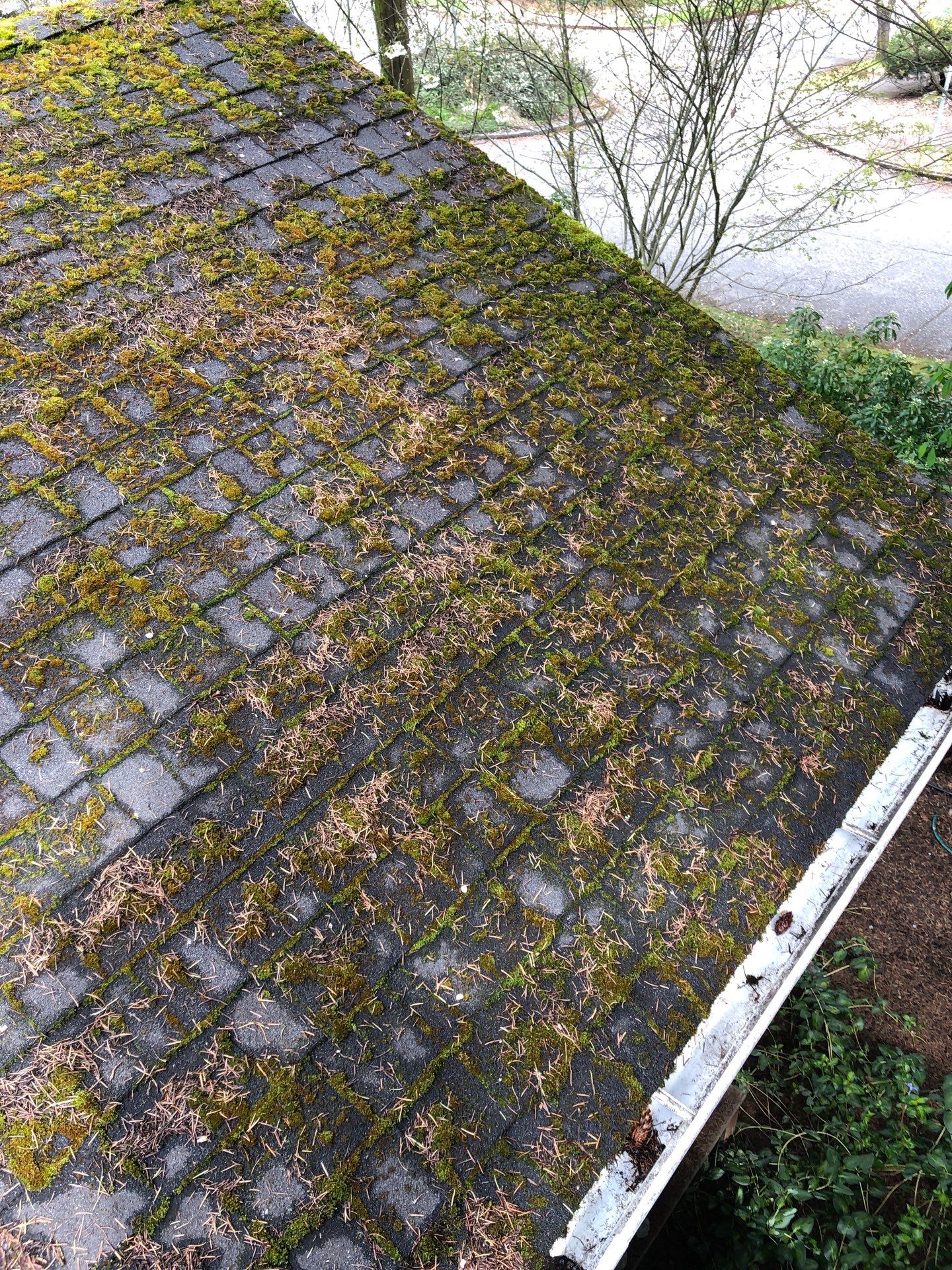 Project in Seattle by Peaks and Valleys Construction