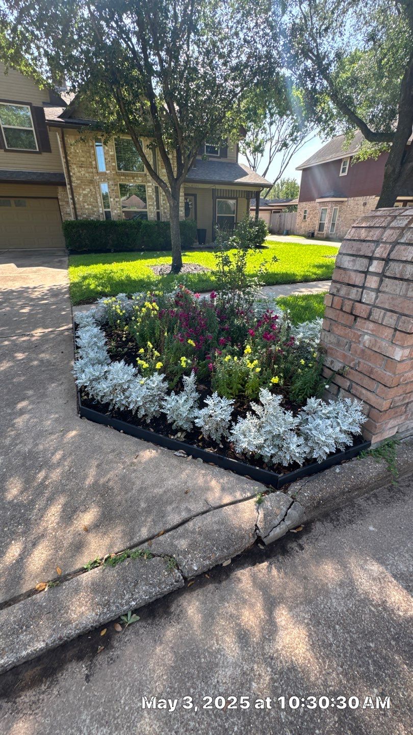 🌿 Torey’s Front Yard Transformation by Texas Urban Elements