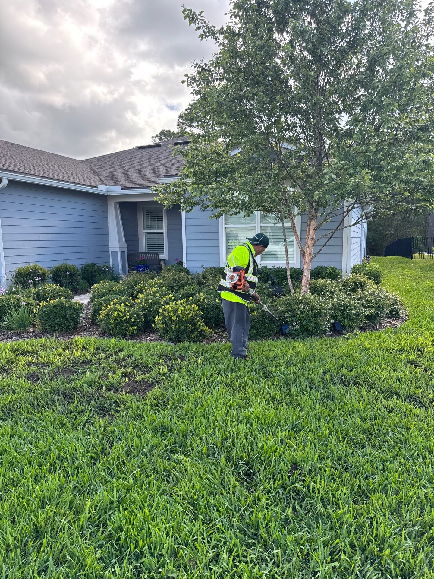 Residential | Topsoil Install & Tree Trimming by ProGreen Services