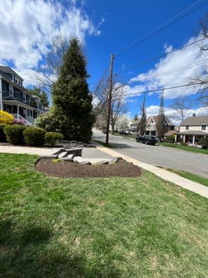 Comprehensive Lawn Care and Aeration and Seeding in Chatham