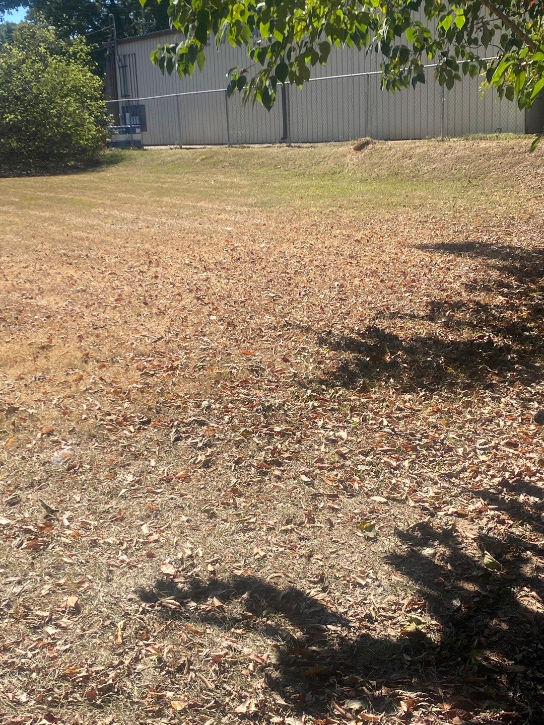 Commercial Exterior Maintenance and Lawn Care in Montgomery by BTops Landscaping Inc.
