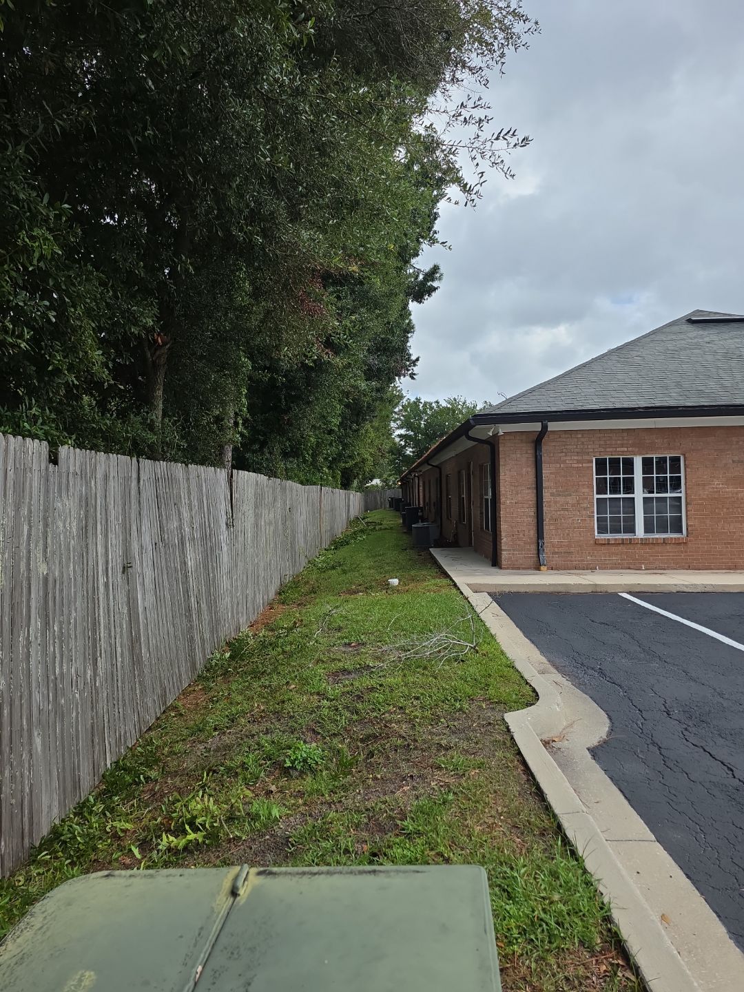 Commercial Property | Tree Removal & Trimming by ProGreen Services