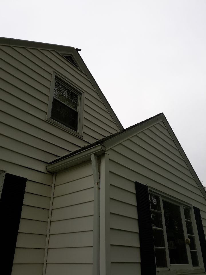 Carol Carpenter by Silver Leaf Contracting 