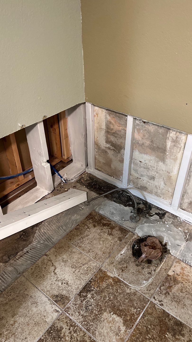 Water Damage and Mold Remediation by Accountable Home Services