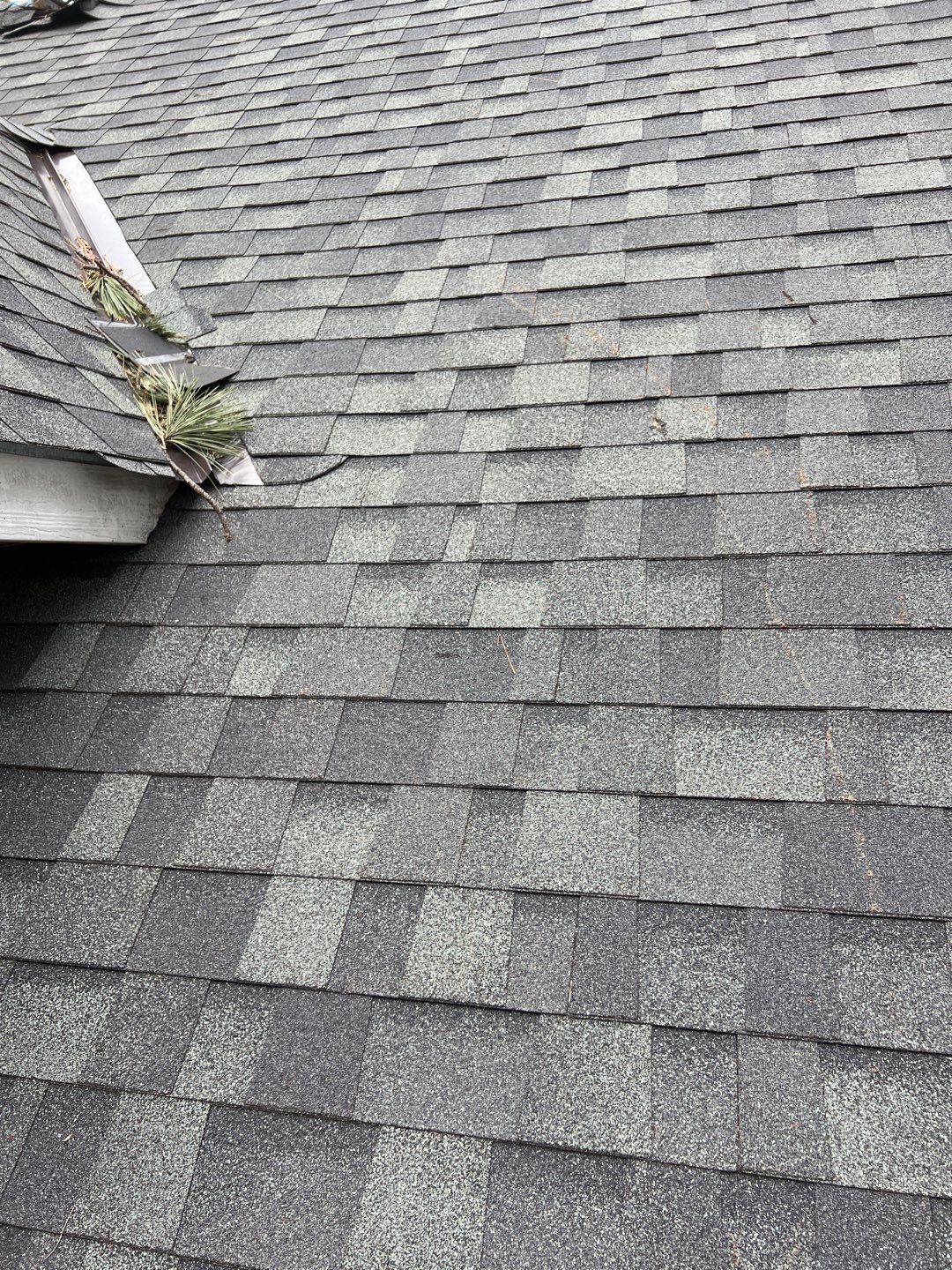 Green Snap Lock Standing Seam  by Montana Roofing Solutions