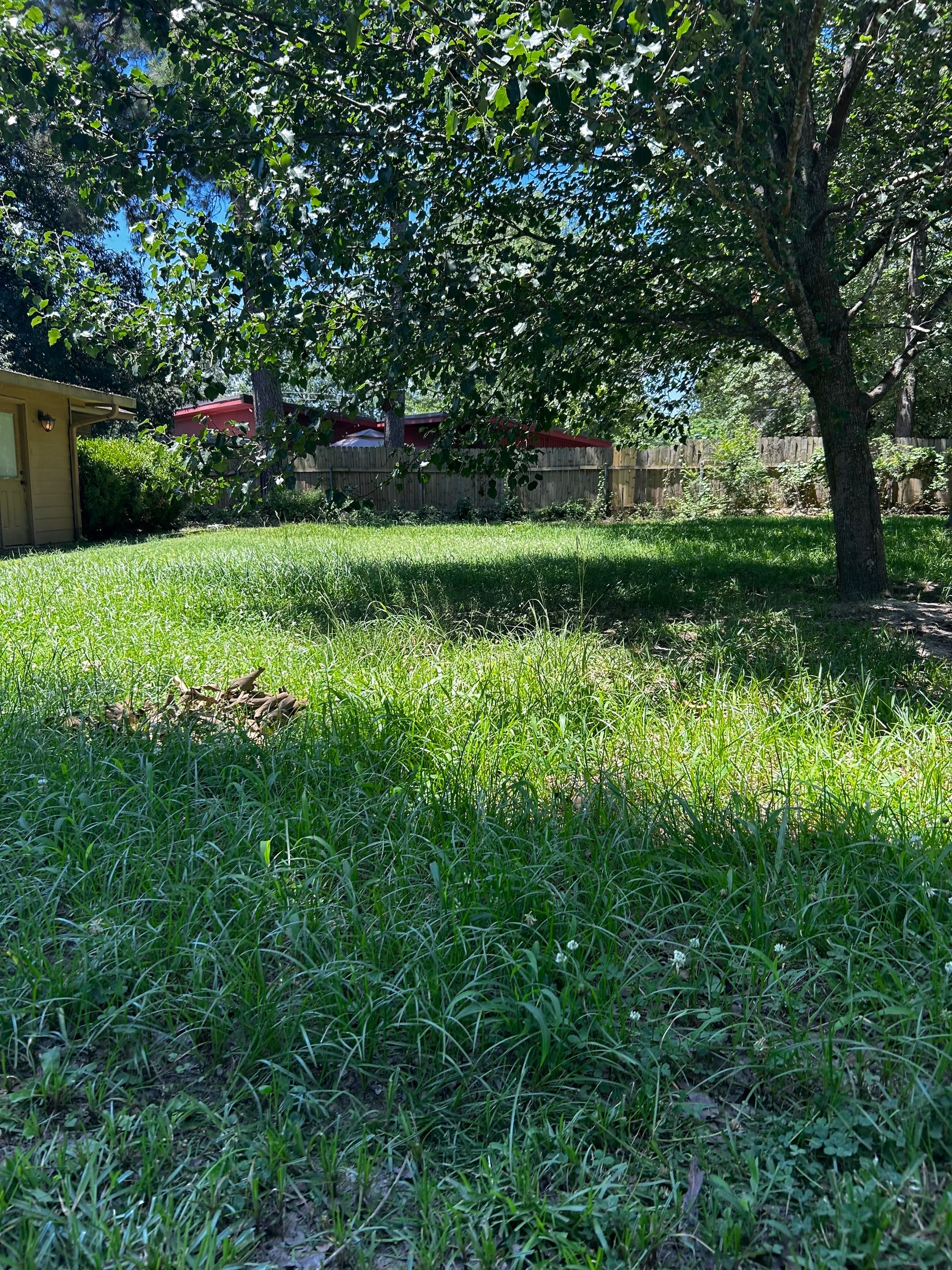 Bi Weekly Lawn Mowing and Edging by College Bros Outdoor services
