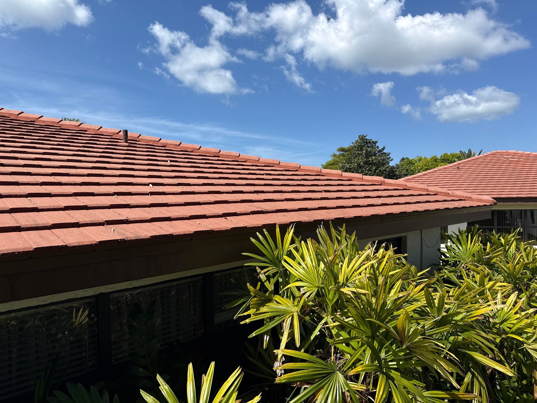 Tile Roof Cleaning in Vivienda at Bradenton, FL | No Roof Walking Method by Sunshine AquaWash