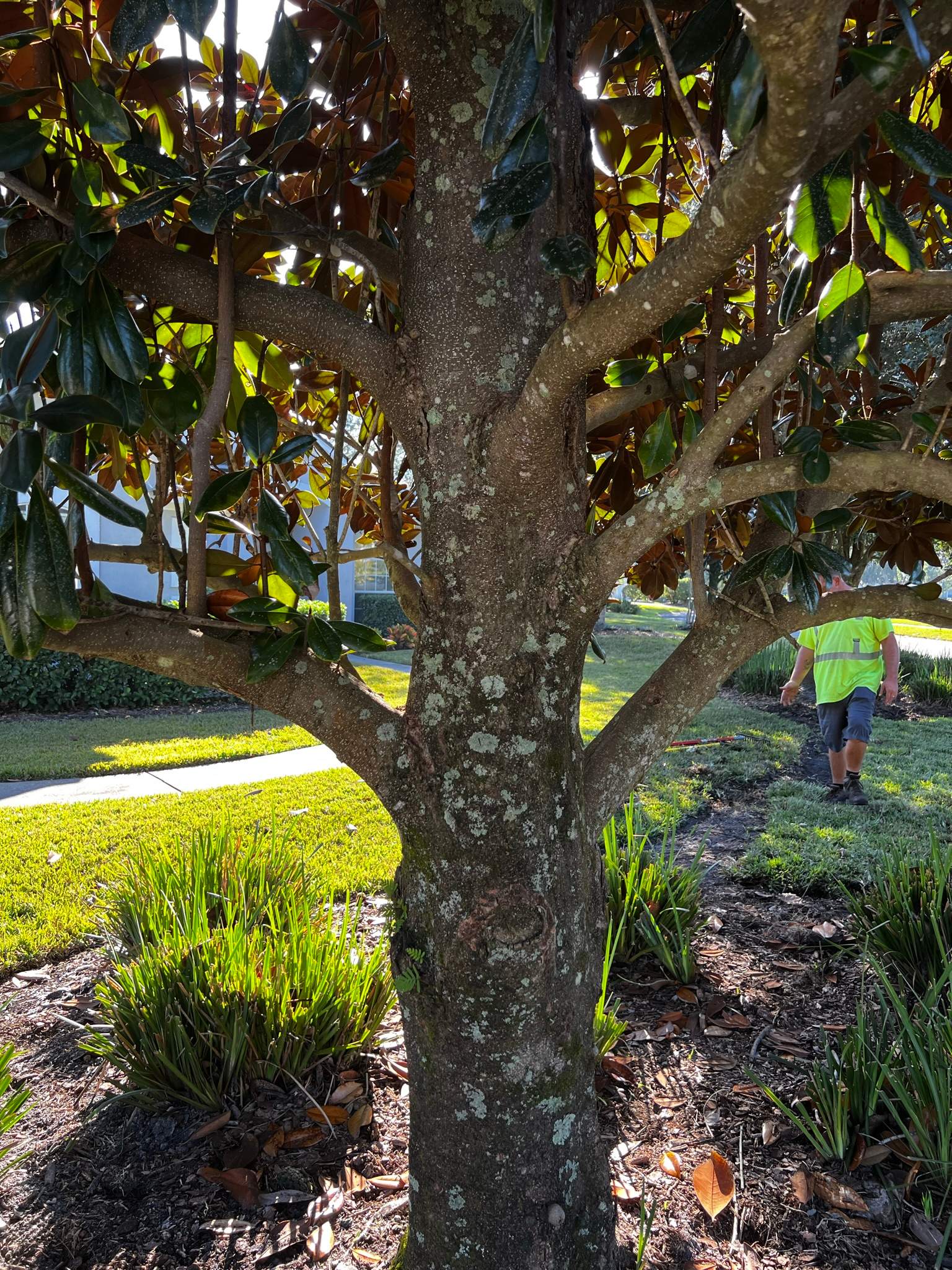 Sod Installation | Deercreek Country Club by ProGreen Services