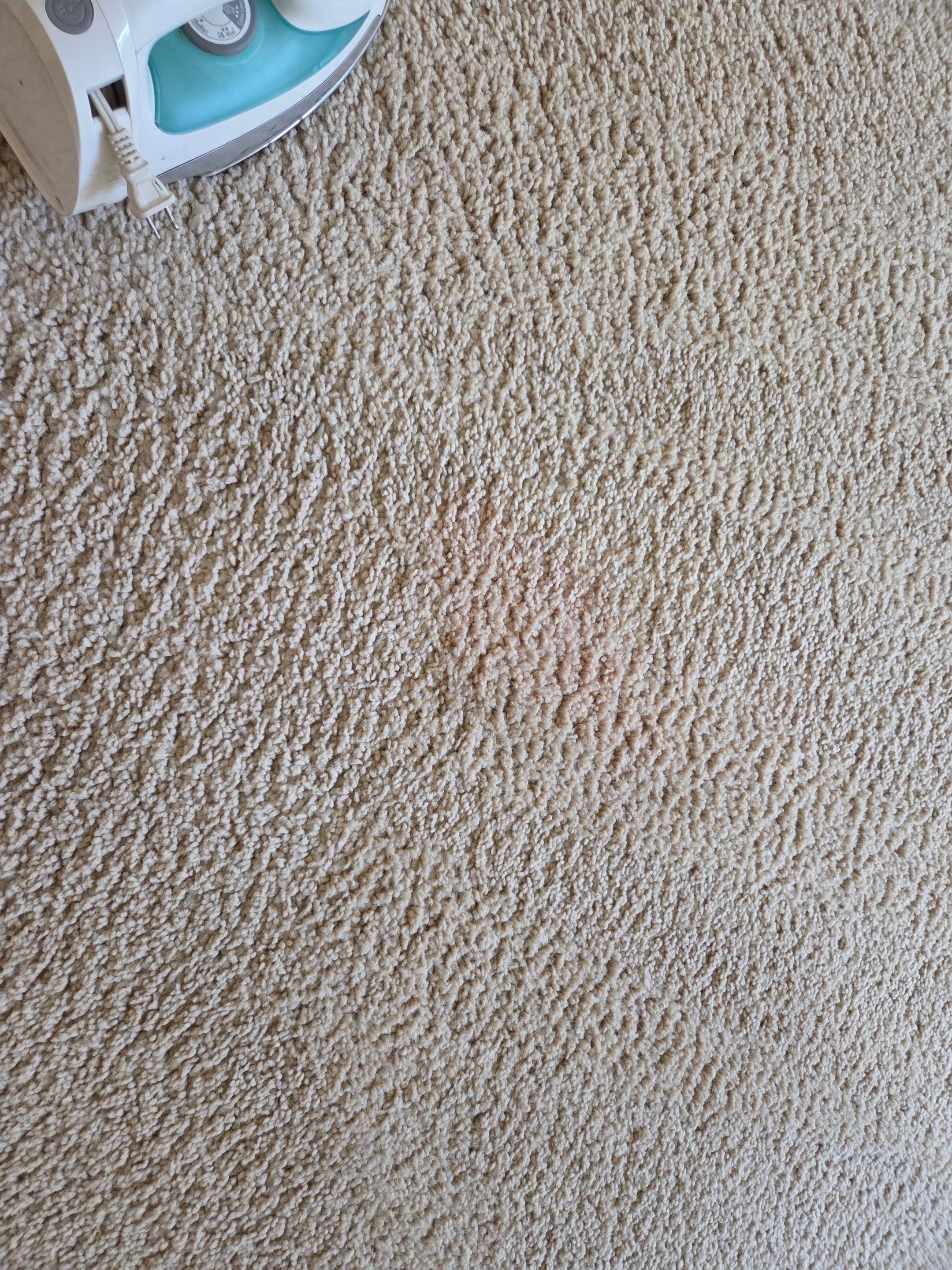 Carpet Cleaning and Stain Removal in Shingle Springs by Ardent Carpet Restore LLC