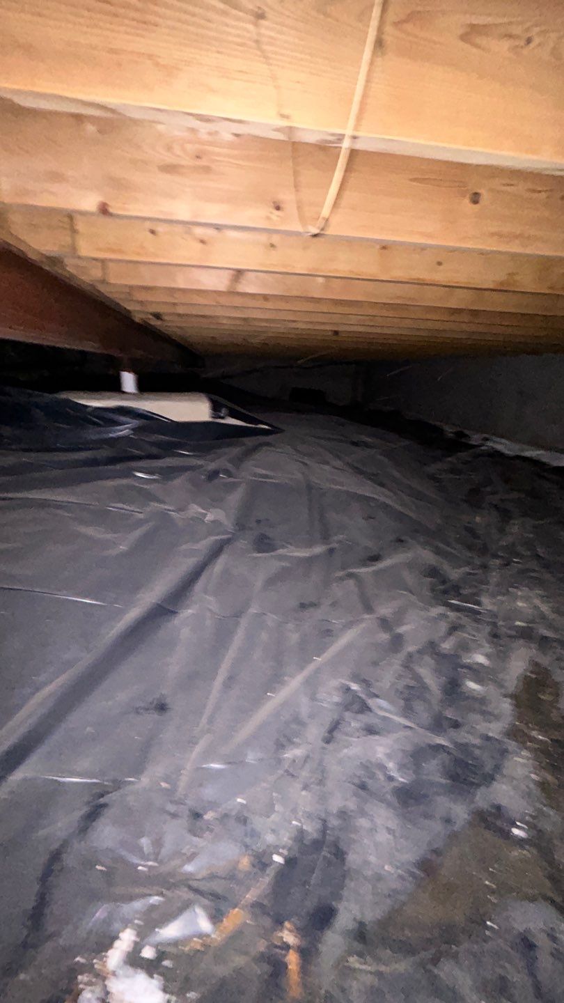 Mold Damage by Accountable Home Services