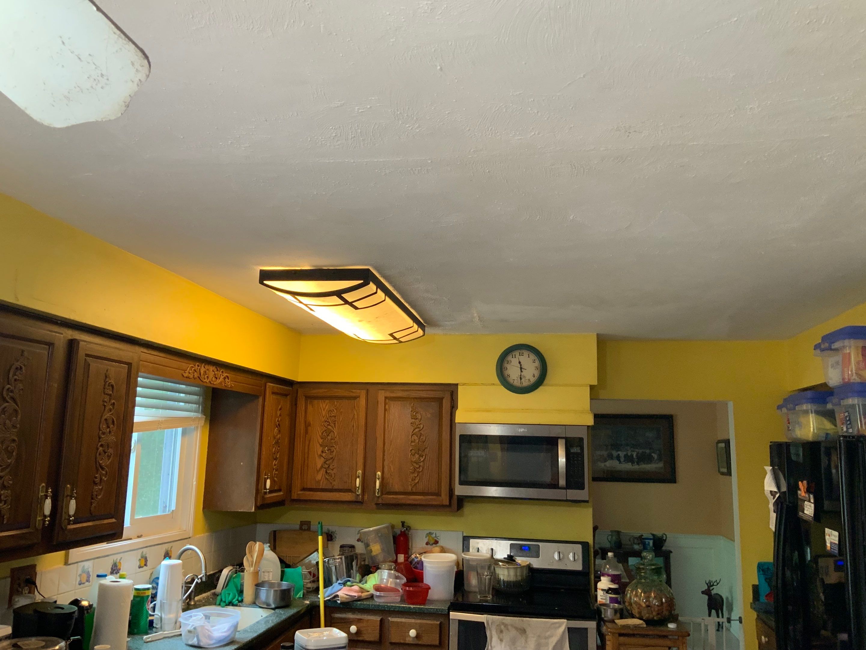 Ceiling Repair by Alpha Design Services