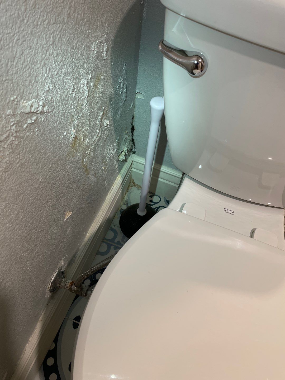 Mold Remediation by Accountable Home Services