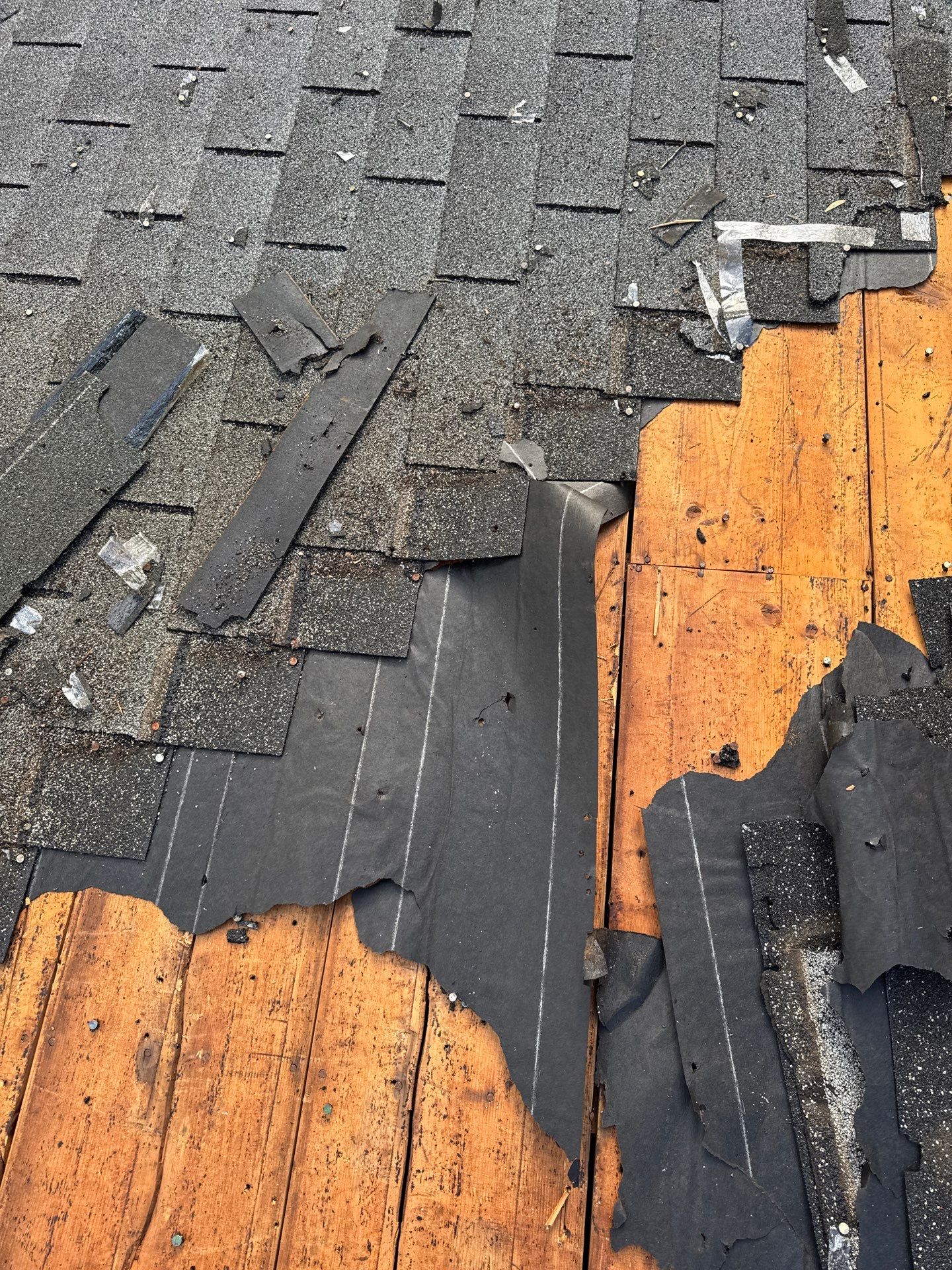 Residential Roof + Gutters & Downspouts & Gutter Guards Replacement  by Titan Commercial & Residential Roofing 