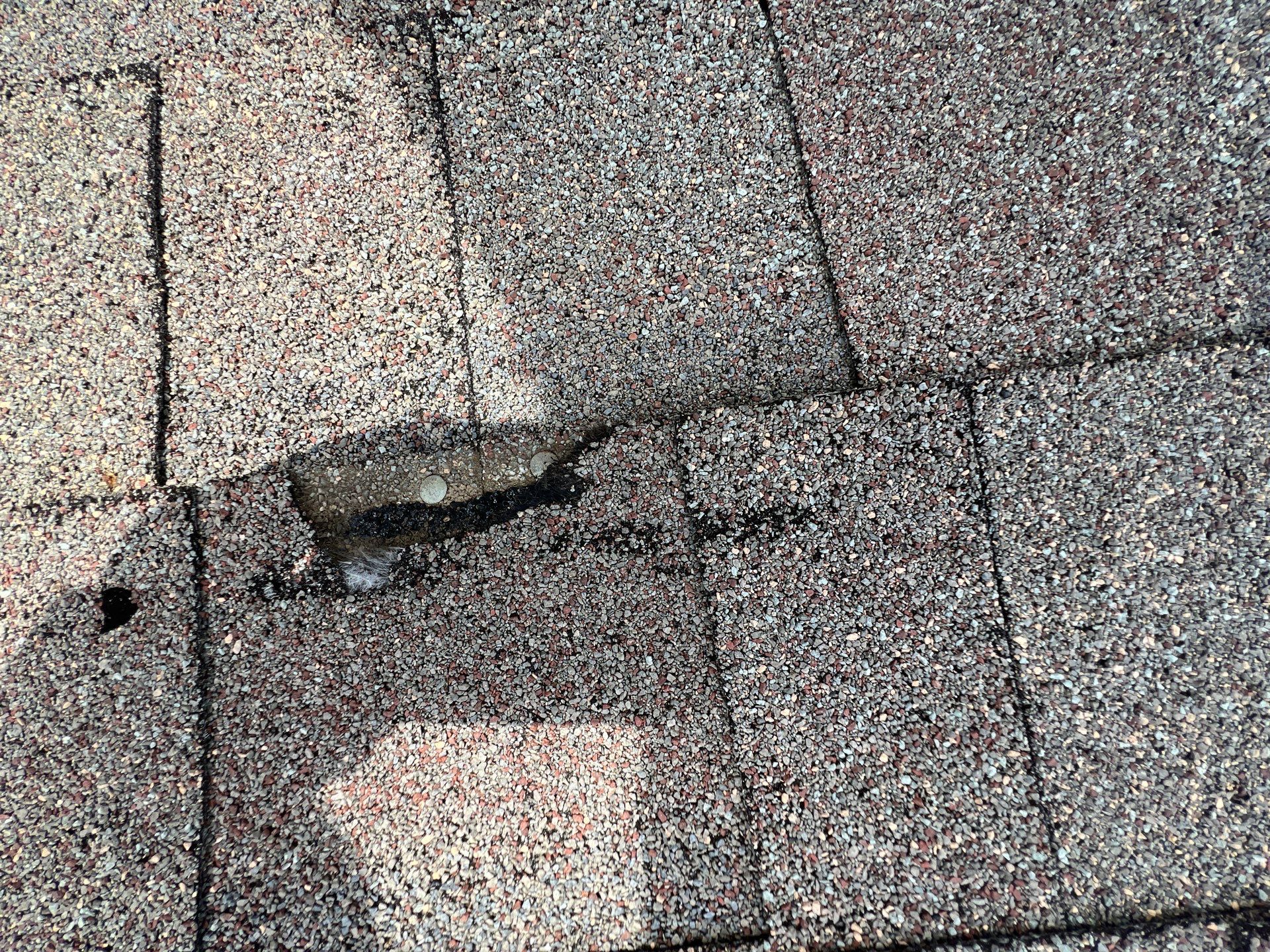 Hail Damage using Owen's Corning Duration (Lifetime) Shingles by Roof Repair Company